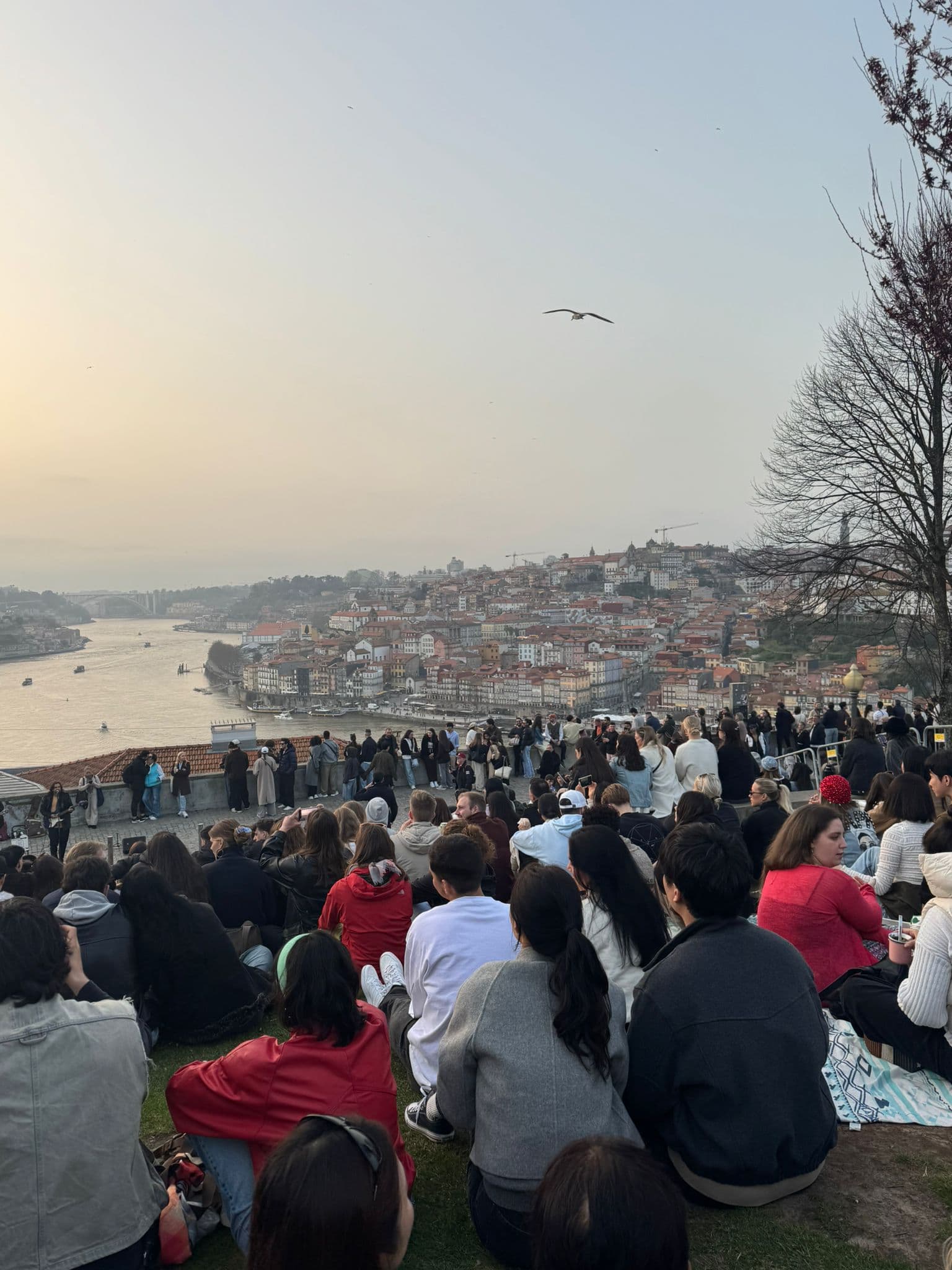 Crowds watching the sunset over Porto from Jardim do Morro